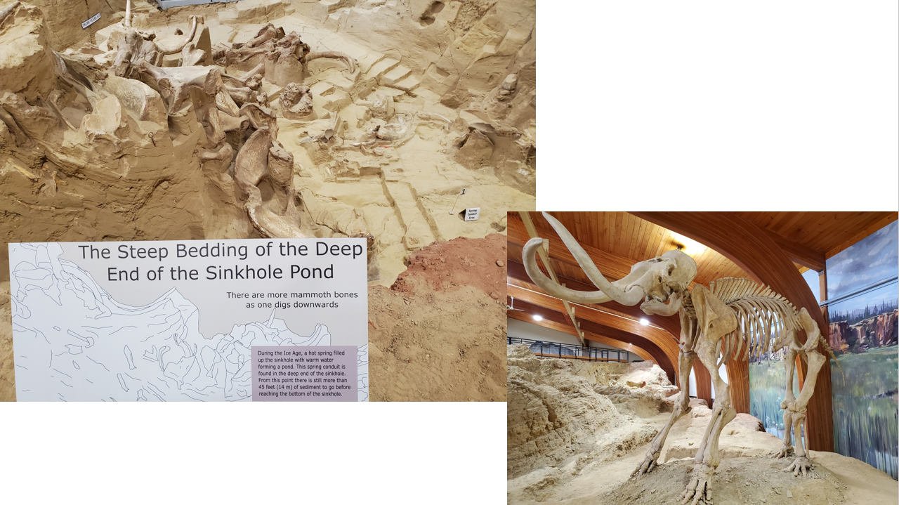 BlackHillsMammothSite